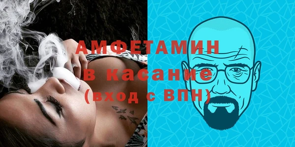 мет Алексин