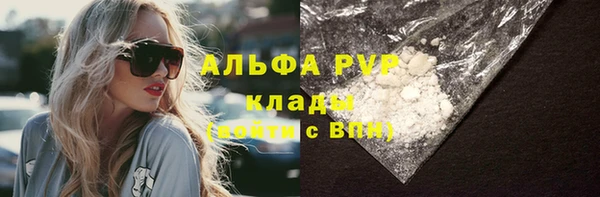 мет Алексин